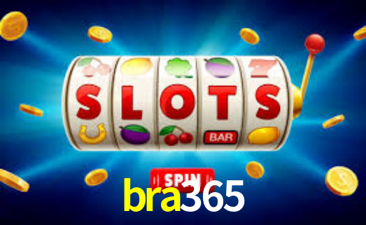 Segurança e privacidade no APP bra365